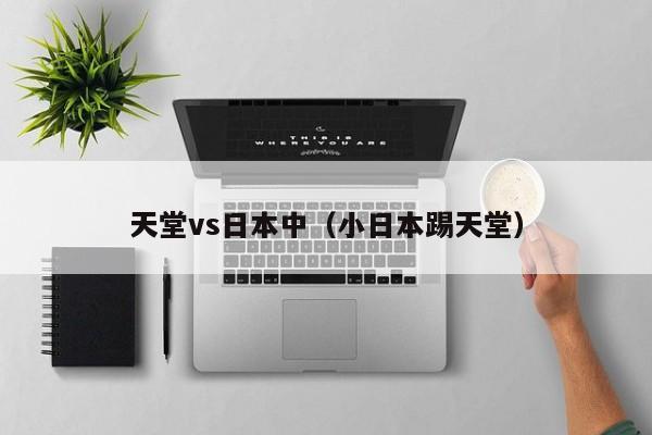 天堂vs日本中（小日本踢天堂）