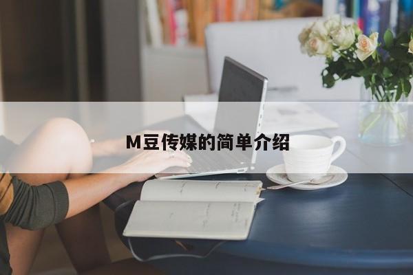 M豆传媒的简单介绍