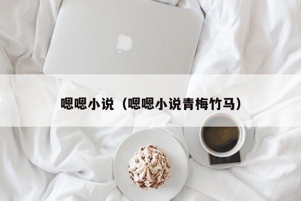 嗯嗯小说（嗯嗯小说青梅竹马）