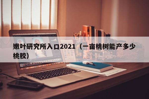 嫩叶研究所入口2021（一亩桃树能产多少桃胶）