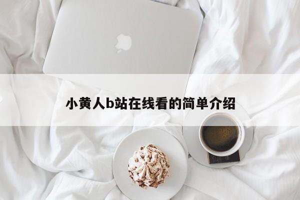 小黄人b站在线看的简单介绍