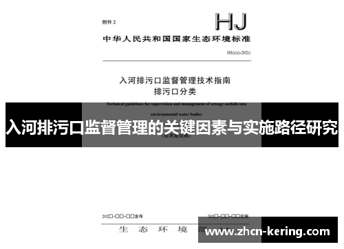 入河排污口监督管理的关键因素与实施路径研究