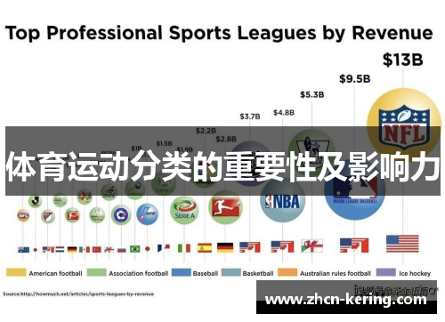 体育运动分类的重要性及影响力
