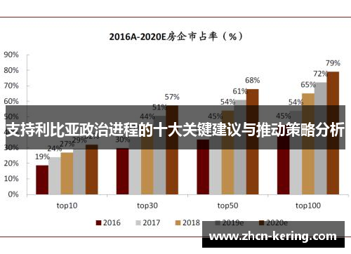 支持利比亚政治进程的十大关键建议与推动策略分析